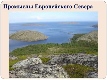 Название народных промыслов европейского севера