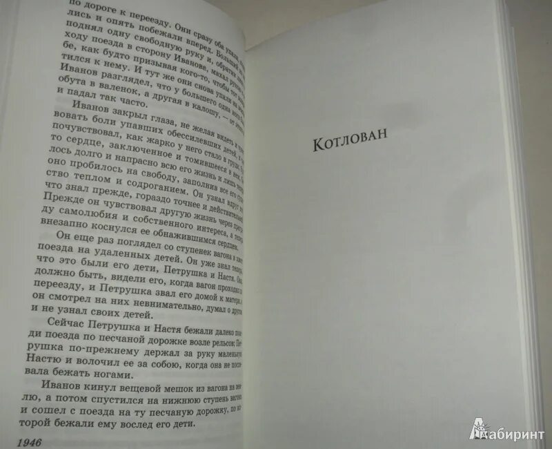 Платонов в прекрасном и яростном мире. В прекрасном и яростном мире количество страниц. В прекрасном и яростном мире книга. В прекрасном и яростном мире платонов пересказ