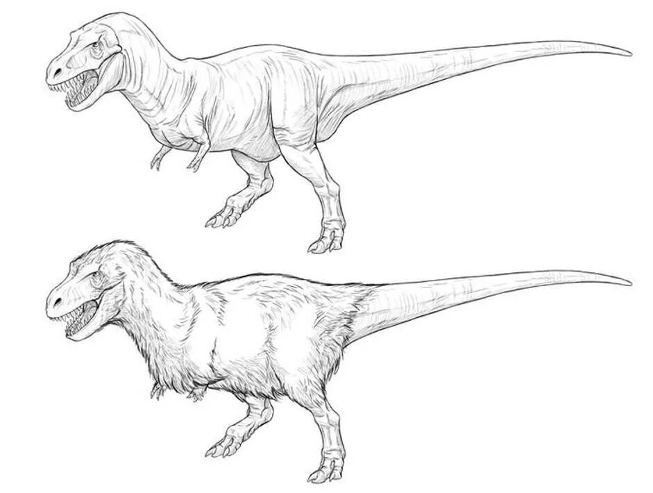 Картинки динозавров нарисовать. Динозавр рисунок. Динозавр рисунок карандашом. Рисунок динозавра карандашом для срисовки. Рисунки динозавров для срисовки.