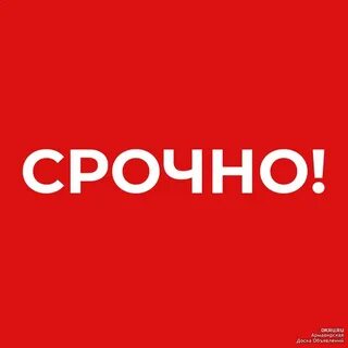 Срочно сегодня требуется