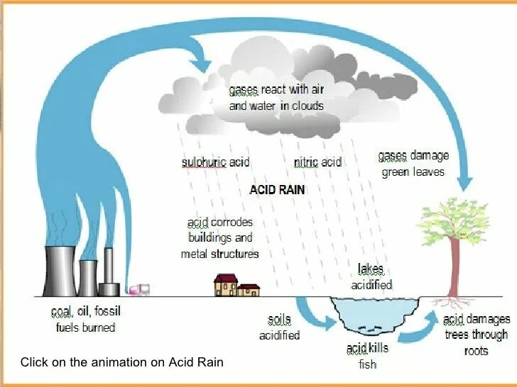Acid rain portal. Презентации кислотный дождь на английском. what acid rain is. загрязнение воздуха кислотные дожди. acid rain топик.