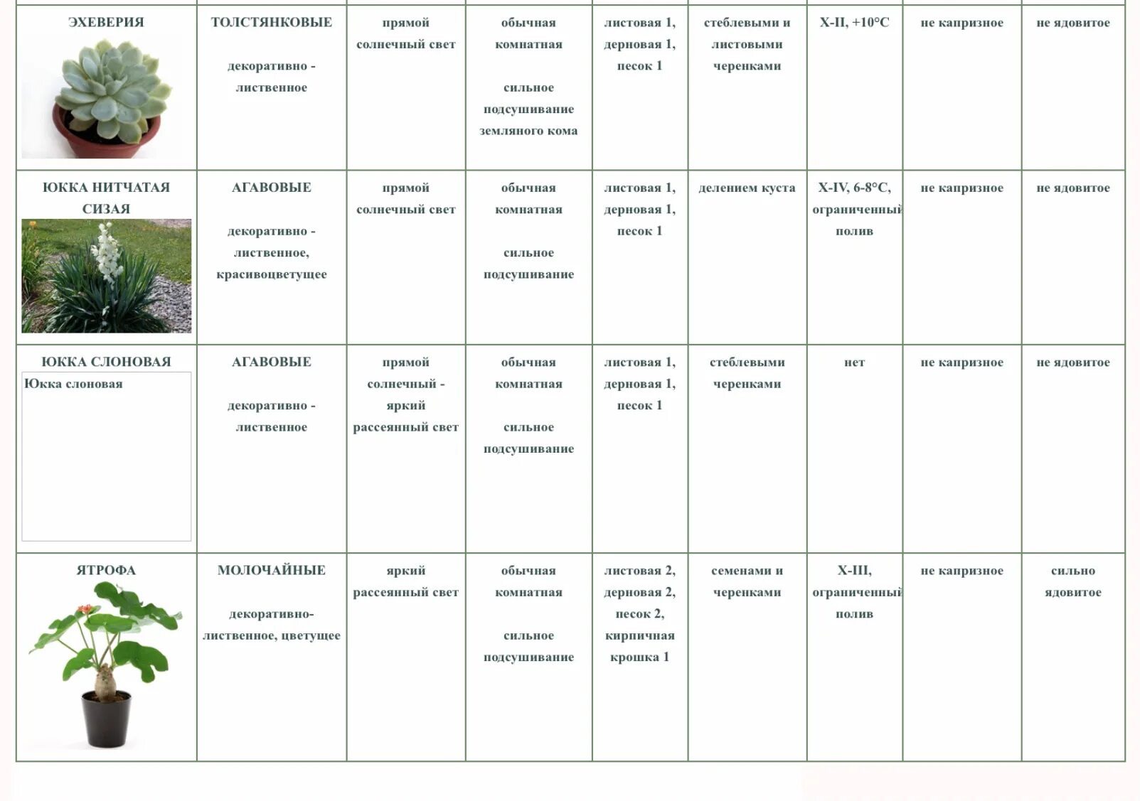 Календарь ухода за комнатными растениями март 2024. Комнатные растения таблица. Таблица ухода за комнатными растениями. Таблица по уходу за растениями. Таблица по уходу за комнатными растениями.