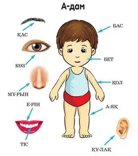 Жыныстық қатынас үшін қара әйелді іздеуде