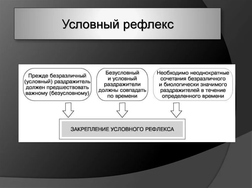 Перечисли условные рефлексы. Условный рефлекс. Условные рефлексы примеры. Условные и безусловные рефлексы животных. Раздражители условного рефлекса.