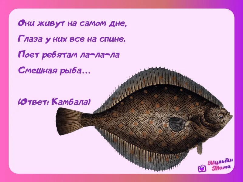 Печальная рыба солнце умка. Слушал сказку про рыбу солнце сканворд 4. Детская сказка про рыбку. Умка рыба солнце. Сказка о рыбаке и рыбке картинки.