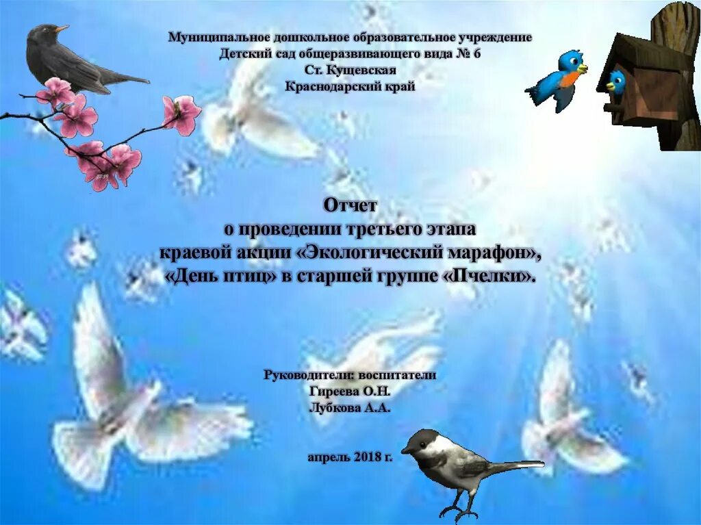 День птиц в детском саду презентация. Экологическая акция день птиц в детском саду. День ь птиц в детском саду. День птиц в детском саду отчет. Отчет о дне птиц.