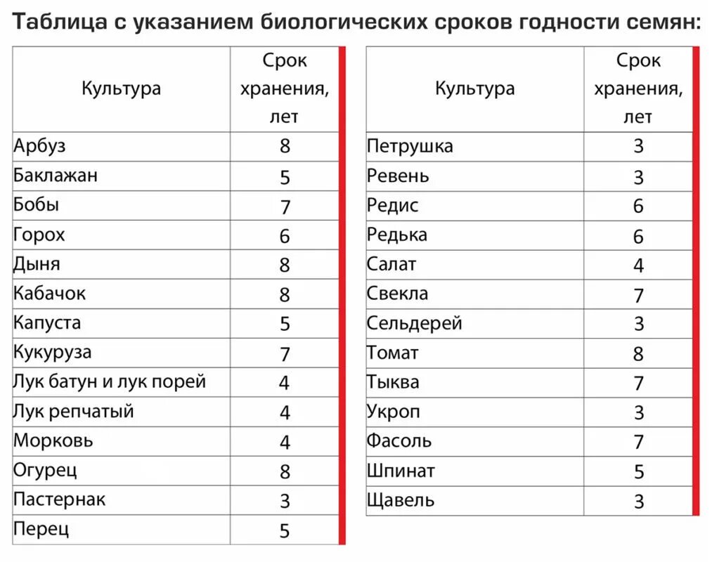 Срок хранения семян капусты. Сроки хранения семян овощей. срок хранения семян овощей таблица. срок годности овощных семян таблица. срок годности на семена таблица.