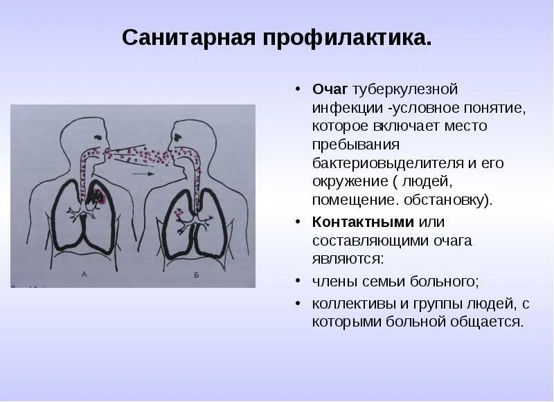 Санитарная профилактика включает. Профилактика туберкулеза. Профилактика туберкулезной инфекции. Профилактика заражения туберкулезом. Профилактика в очагах туберкулезной инфекции.