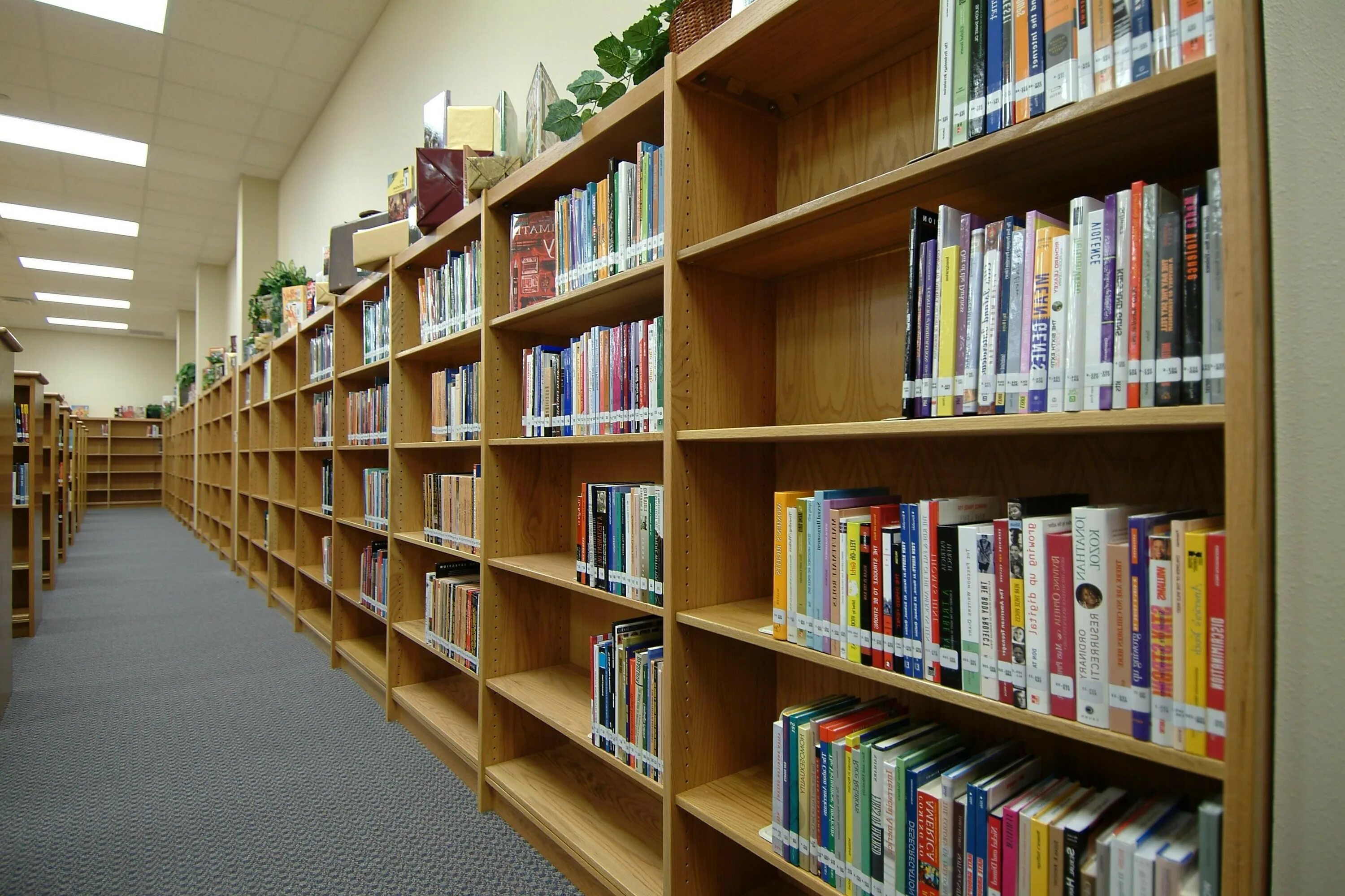 School library. Школьная библиотека. Библиотека в школе. Стеллажи библиотечные для школы. Стеллажи книг Школьная библиотека.