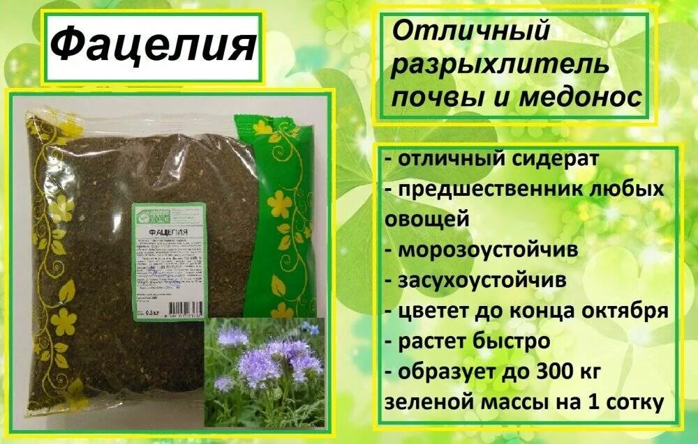 Сидерат фацелия достоинства и недостатки. Семена фацелия 1 кг сидерат. фацелия семена сидерат 2 кг. сидерат медонос фацелия. фацелия 0,5 кг.