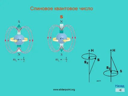 Спиновое квантовое число электрона