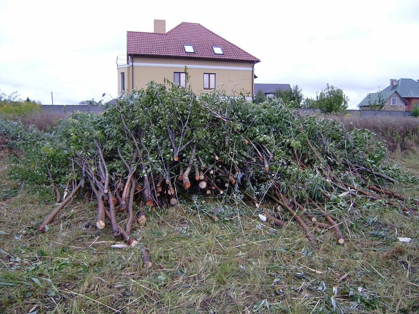 Очистить участок от кустарников. Расчистка участка от деревьев и кустарников. расчистка участков от деревьев. расчистка территории от кустарников. вырубка кустарника.
