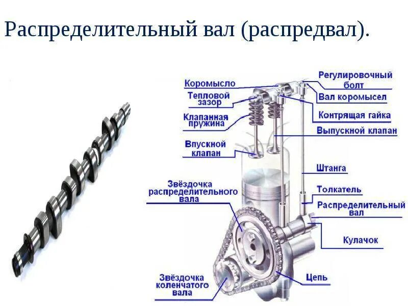 Общее устройство грм двигателя. Устройство распределительного вала с клапанами. принцип работы распределительного вала и клапанов. устройство распределительного вала схема. детали грм распределительный вал.