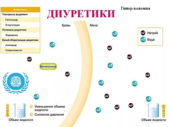 Сотрясение лекарства какие лекарства. Диуретики при сотрясении мозга. При сотрясении мочегонные. Таблетки при сотрясении мозга. Мочегонное при сотрясении мозга.