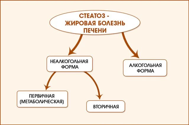 Признаки стеатоза печени. Метаболический стеатоз печени. Схема лекарств при стеатозе печени. Стеатогепатоз 1 степени печени что это.