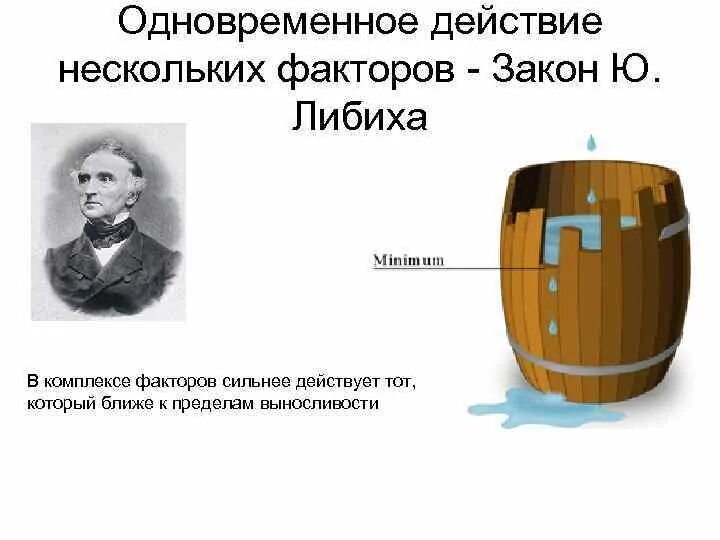 Закон ограничивающего фактора кратко. Закон минимума Либиха в экологии. Закон (правило) минимума Либиха (ю.Либих, 1840). Биология бочка Либиха. Правило минимума ю. Либиха.