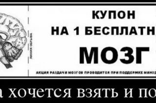 Бесплатный мозг