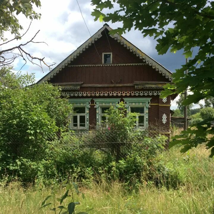 Дом в деревне в тульской. Лесная деревня. Дом на опушке. Домик в деревне в лесу. Деревенский дом на опушке леса.