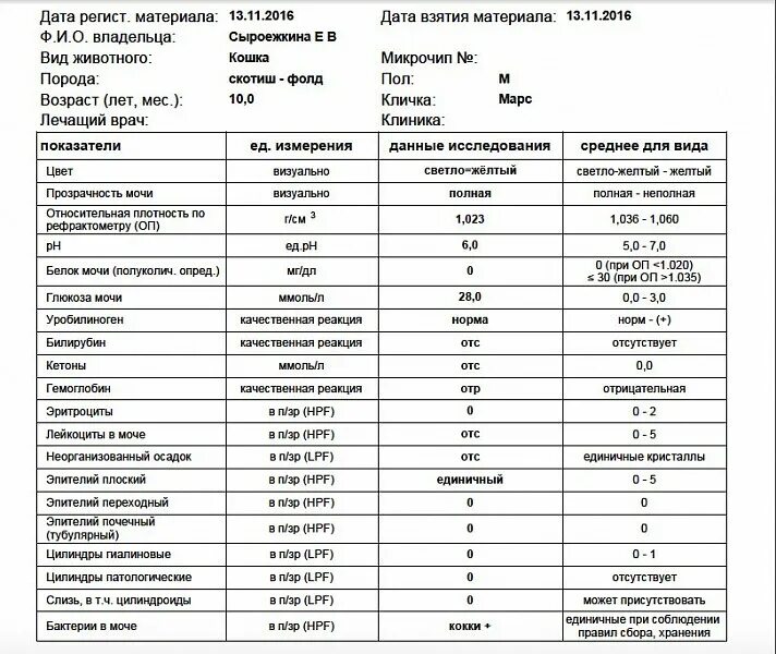 Моча м кровью