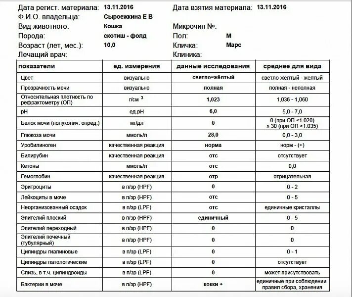 Норма глюкозы в моче. ОАМ нормы при мочекаменной болезни. Общий анализ мочи мочекаменной болезни таблица. Показатели мочи при мочекаменной болезни у мужчин. Общий анализ мочи при мочекаменной болезни показатели у человека.