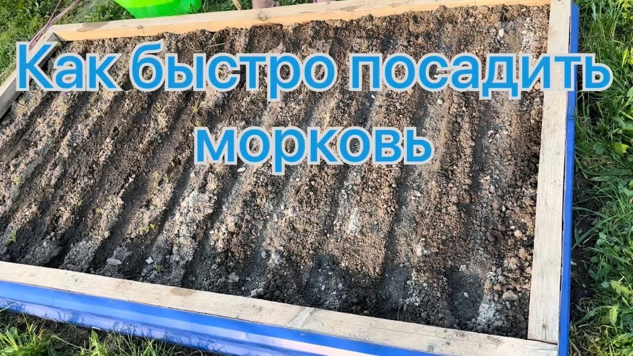 Как быстрей посадить