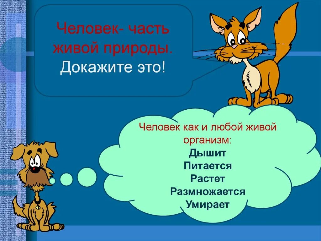 Все то что окружает живой организм. Человек часть живой природы. Человек живой организм. Человек часть живой природы презентация. Человек часть живой природы 3 класс.