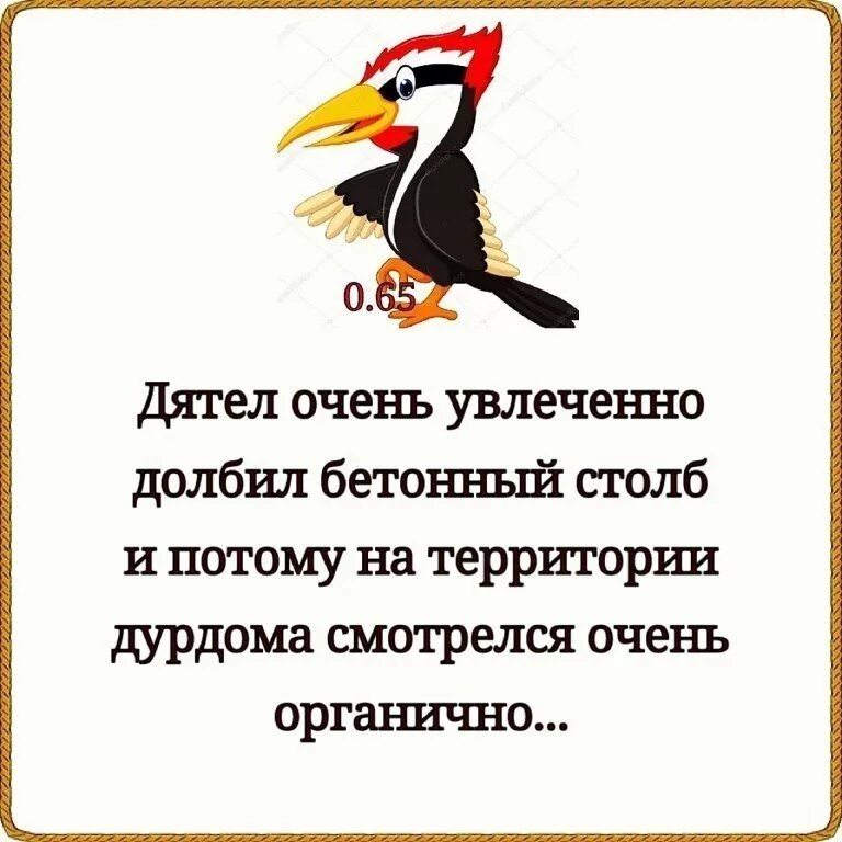 Птиц не было слышно потому что. Шутки про дятла. Прикольный дятел. Анекдот про дятла. Дятел фразы.