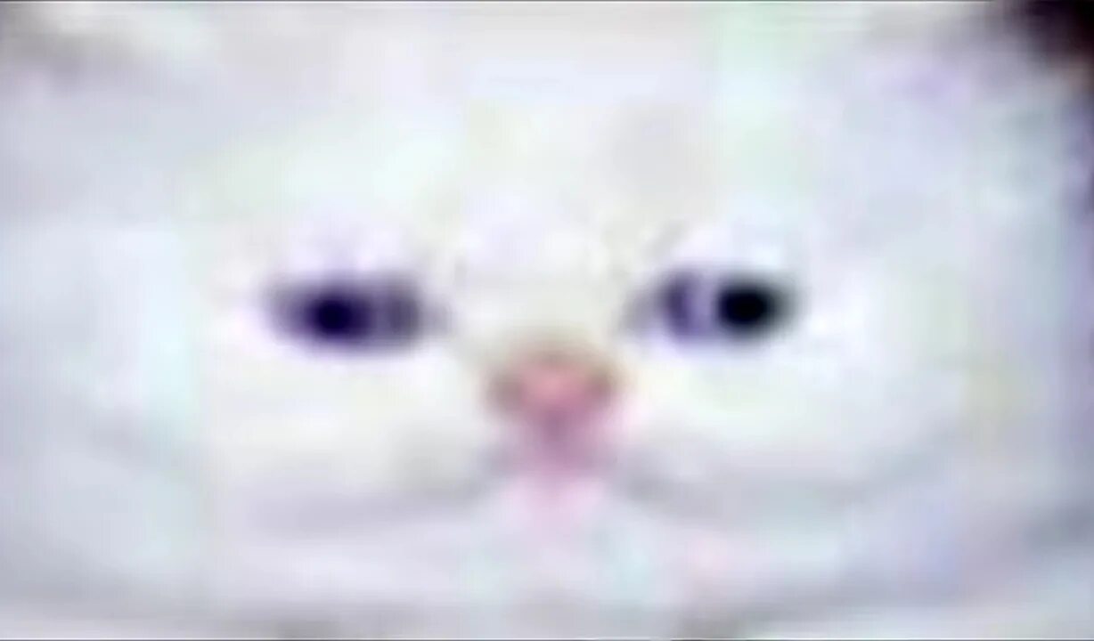 Ты че мышь. Ты чо мышь мем. ты че мышь мем кот. слышь мышь мем.