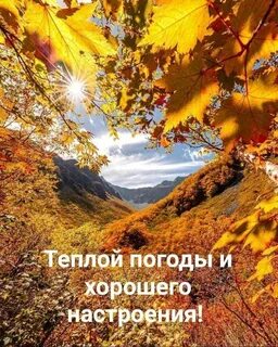 Мгновенья осени