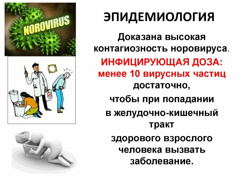 Норовирусная инфекция эпидемиология. Основные клинические симптомы норовирусной инфекции. Норовирус этиология. Норовирус микробиология.