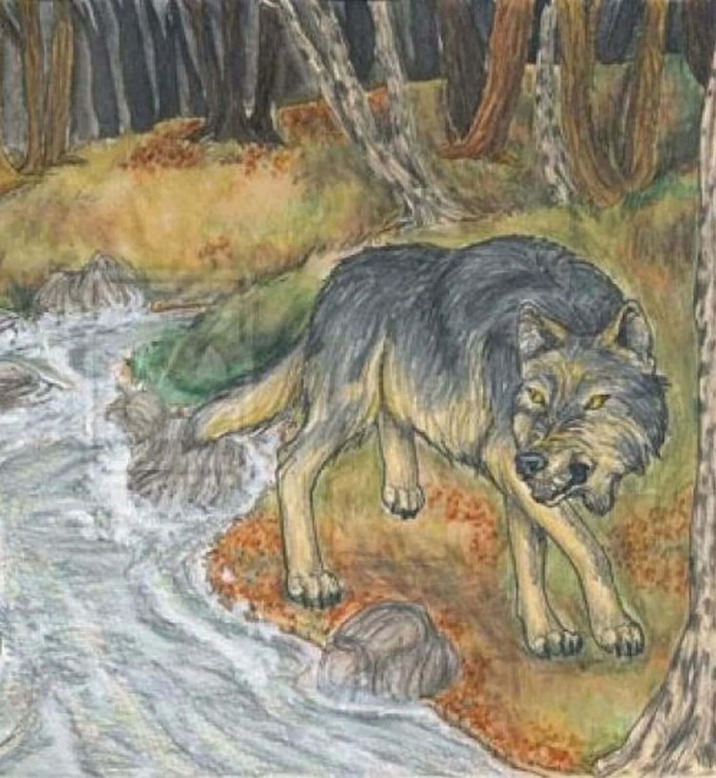 Басня волк и ягненок Крылов. Иллюстрация к басне Крылова волк и ягненок. Иллюстрация к басня ягненок и волк Крылов.