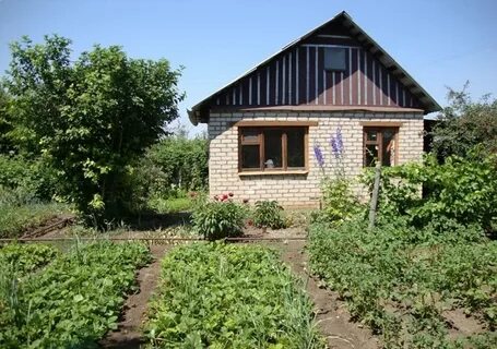 Продать дачу в оренбурге