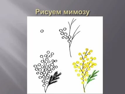 Рисование мимоза