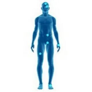 Body user