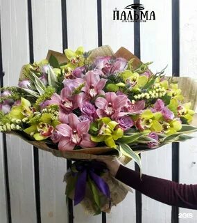 Пальма белгород цветы