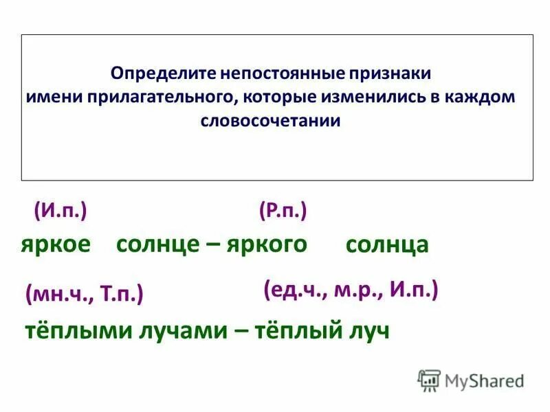 Имя прилагательное слова. Выполнить морфологический разбор имени прилагательного. Как определить род и число имен прилагательных 4 класс. Разберите выделенные имена прилагательные. Морфологический разбор имени прилагательного пример.