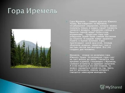 Вопросы южного урала