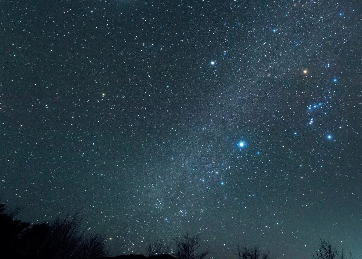Невооруженным глазом можно увидеть звезд. Сириус звезда в Млечном пути. Созвездие Ориона в Млечном пути. Сириус и Орион на Звездном небе. Звезда Сириус на Звездном небе.
