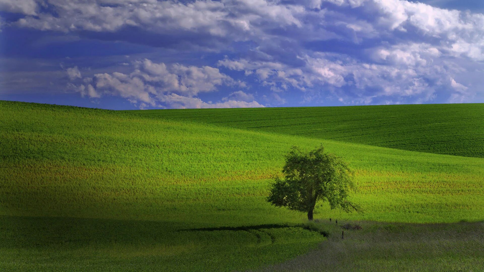 Лаванда во франции прованс. Еще пять минут текст. Поле цветет. Часы 5 минут. Италия поля тосканы.