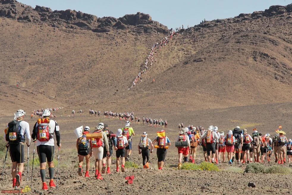 Пустынные бега. Марафон дес Саблес. Песчаный марафон в Марокко. Марафон в пустыне. Бег в пустыне.
