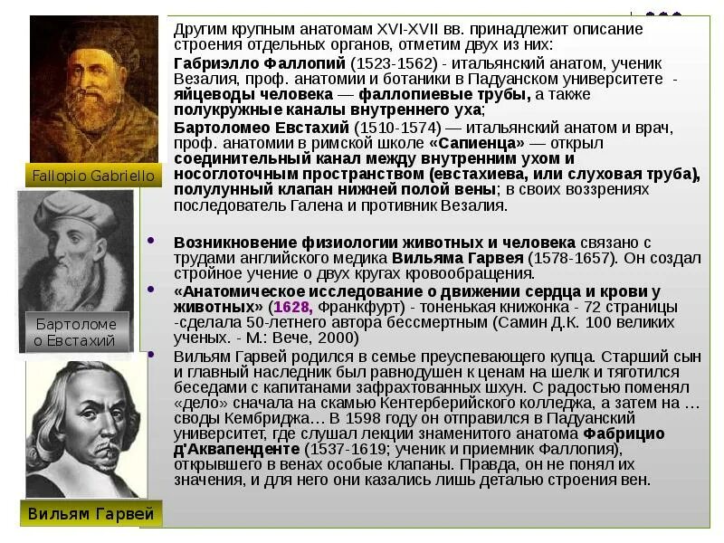 Основоположники научной анатомии в эпоху Возрождения. Ученые эпохи Возрождения. Великие ученые эпохи Возрождения. Важнейшие открытия в анатомии в XV-XVI ВВ.. Эпоха возрождения вклад