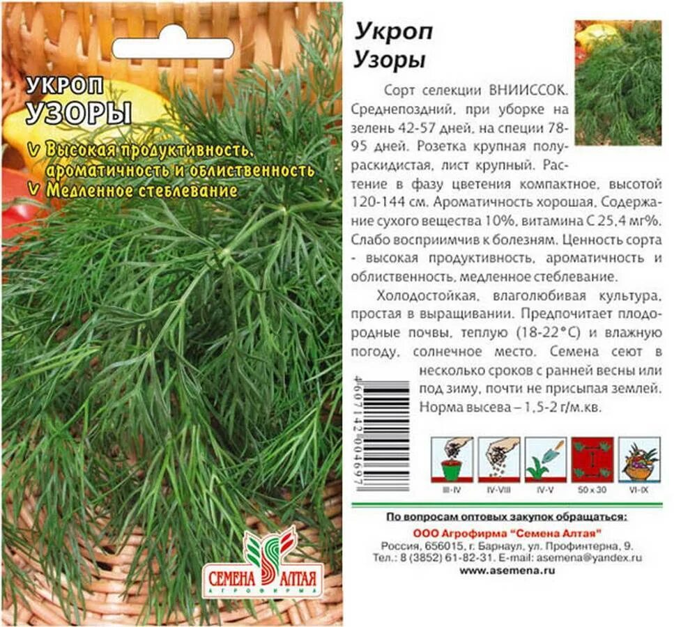 Сорт укропа без зонтиков. Укроп сорт Кибрай. Семена укроп "Кибрай", 2 г. Укроп семена кустовые сорта. Укроп Кибрай (2г).