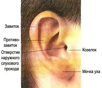 Ребенка беспокоит ухо