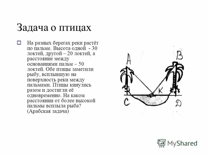 На обоих берегах реки растет по пальме. На обоих берегах реки растет. Древне арабские задачи по математике. На обоих берегах реки растет по пальме одна против другой. Старинные задачи на теорему пифагора.