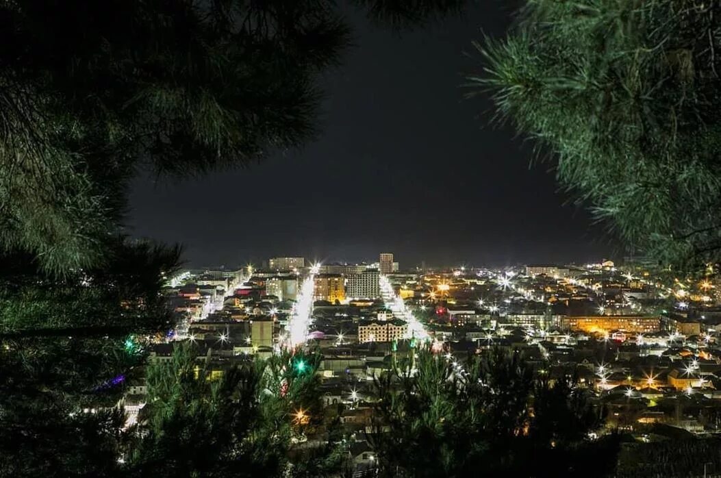 Сосновый парк в дербенте. Бор дербент. Ночной дербент 2022. Сосновый бор дагестан. В сосновом бору дербента.