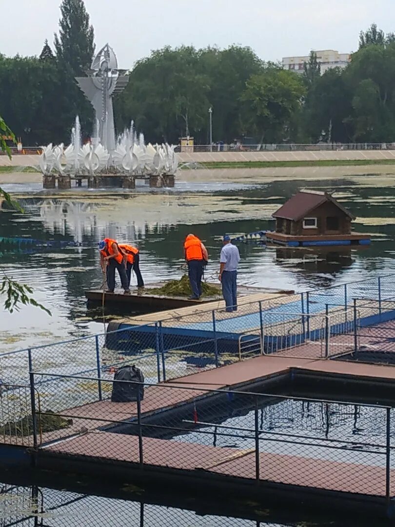 Парк 50 летия октября. Парк имени 50-летия октября Москва. Парк 50 летия октября Волгоград. Парк 50 летия октября Волгоград Кировский район. Парк 50 летия октября фото