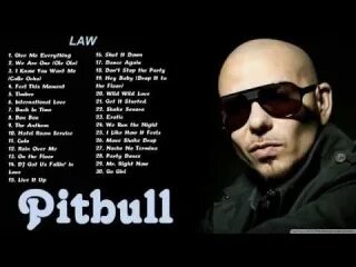 Hey girl pitbull
