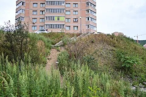 Адмирал купавна