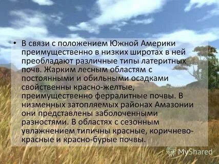 Почвы саванн южной америки