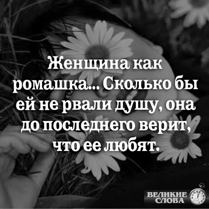 Женщина как Ромашка сколько бы ей не рвали душу. Ромашка до последнего верит в любовь. Мыслимус афоризмы и цитаты. Женщина подобна ромашке сколько бы не рвали.